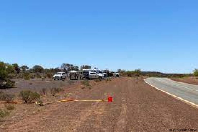 Australia's lost radioactive capsule found on the side of the road