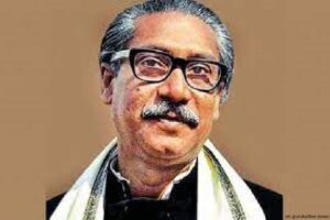 Bangabandhu first introduced parliamentary democracy in country: lawmakers 