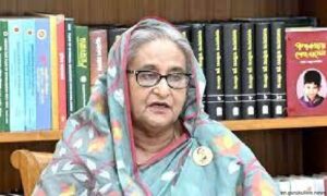 Govt working to establish the culture of Bangladesh on the world stage: PM